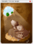 4023 - Baby Desertwolf Card (Desert Wolf Babe Card)