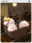 4028 - Tarou Card (Tarou Card)