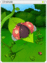 4039 - Stainer Card (Stainer Card)