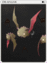 4069 - Drainliar Card (Drainliar Card)