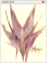 4103 - Horong Card (Horong Card)