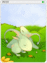 4118 - Earth Petite Card (Petit Card)