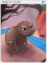 4175 - Poisonous Toad Card (Poison Toad Card)