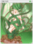 4177 - Dryad Card (Dryad Card)