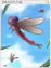 4178 - Dragon Tail Card (Dragon Tail Card)