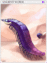 4249 - Ancient Worm Card (Ancient Worm Card)