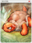 4331 - Heater Card (Heater Card)