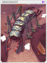 4336 - Ungoliant Card (Ungoliant Card)