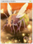 4445 - Luciola Vespa Card (Luciola Vespa Card)