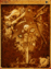 4480 - Sealed Kiel Card (Sealed Kiel Card)
