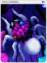 4506 - Dolomedes Card (Dolomedes Card)