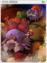 4514 - Pom Spider Card (Pom Spider Card)