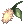 18536 - Foxtail (Foxtail)