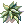 5511 - Samambaia[1] (Samambaia)