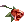 5548 - Rose Of Crimson (Scarlet Rose)