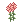 5781 - Persica[1] (Persika)