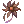 Withered Flower