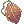 6210 - Thorn Plant Seed (Seed Of Horny Plant)