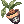 6217