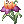 Mysterious Flower