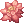 Elegant Flower