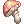 Star Shape Mushroom