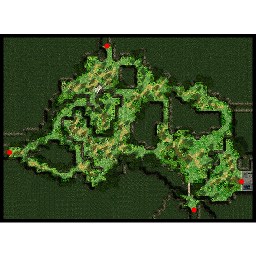 pay_fild03 (Payon Forest) (416 x 300) | Zeny rate: 320