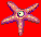 Aster(1266)