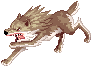 Desert Wolf(1106)