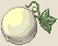 Gourd(1816)