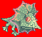 Frilldora(1119)