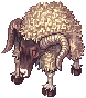 Goat(1372)