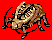Golden Thief Bug(1086)