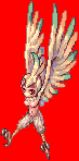 Harpy(1376)