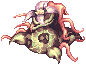 Mandragora(1020)