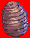 Pupa(1008)